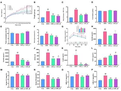 Compound dark tea ameliorates obesity and hepatic steatosis and modulates the gut microbiota in mice